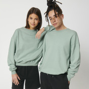 Unisex Ledger dry sweatshirt (STSU798)