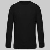 Men's organic cotton crew neck raglan sleeve sweatshirt