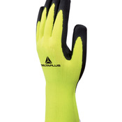 Apollon Gloves