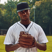 Premium 210 fitted cap (6210)