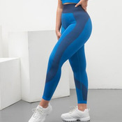 Tombo Ladies Seamless Panelled Leggings