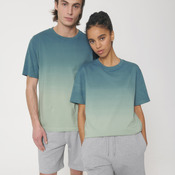 Unisex Fuser dip-dye relaxed t-shirt (STTU785)