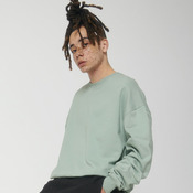 Unisex Ledger dry sweatshirt (STSU798)